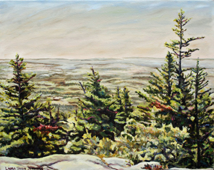 Beech Cliff Vista 18" x 24", oil on linen