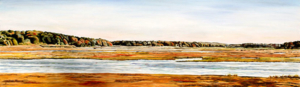 North River Marsh • 12 and 1/2" x 40", oil on paper